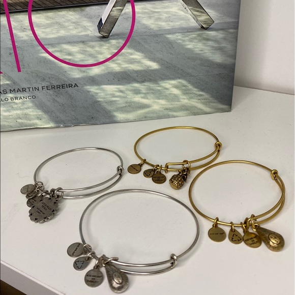 Alex and Ani 4 charm bracelet bundle - Picture 11 of 16